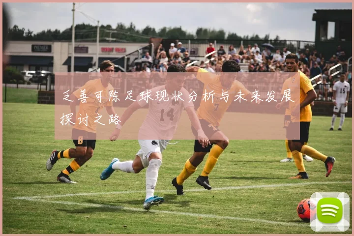 乏善可陈足球现状分析与未来发展探讨之路