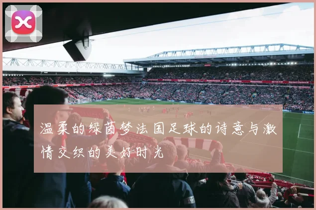 温柔的绿茵梦法国足球的诗意与激情交织的美好时光