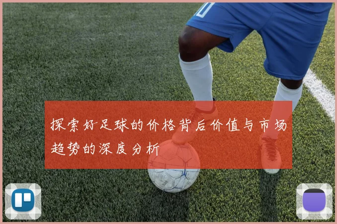 探索好足球的价格背后价值与市场趋势的深度分析